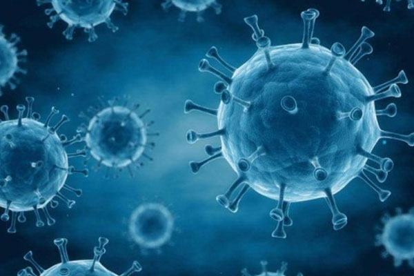 كتاب وأدباء وفنانون مغاربة يطلقون نداء للالتزام بالإجراءات الاحترازية لمواجهة جائحة كورونا