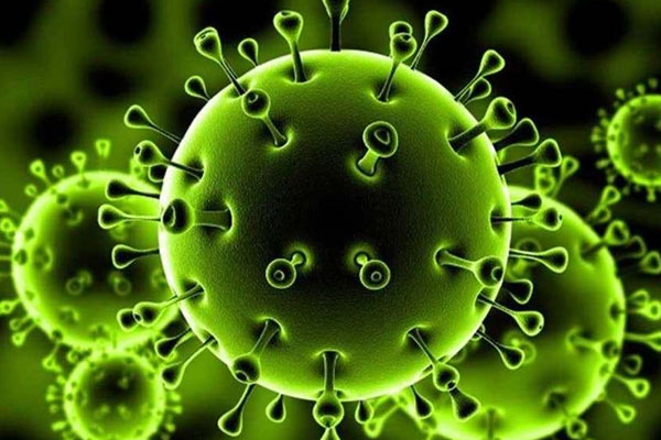 جمعية جهات المغرب تساهم بـ 1,5 مليار درهم في الصندوق الخاص لتدبير ومواجهة كورونا