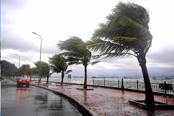 زخات مطرية رعدية قوية يومي الجمعة والسبت بعدد من مناطق المملكة
