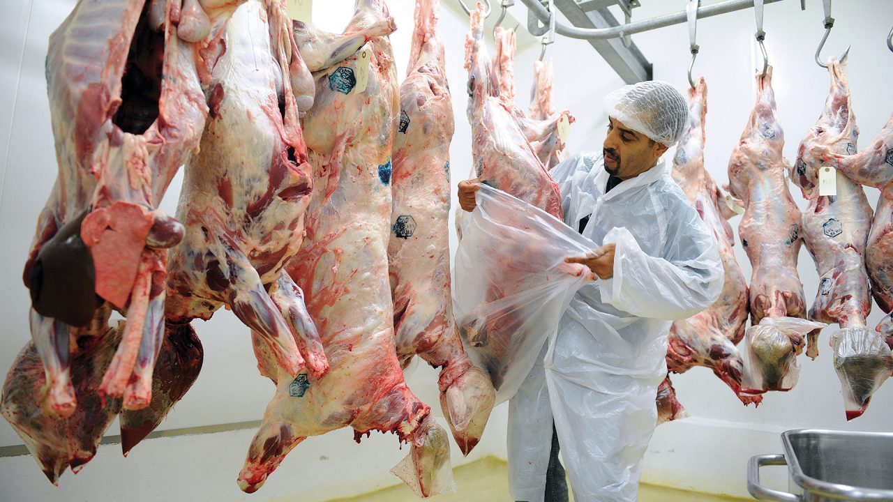 غضب في صفوف جماعات إسلامية في بلجيكا، وذلك بعد إصدار محكمة العدل الأوربية، أمس الخميس، قرارا يقضي بمنح سلطات البلدان الأوربية صلاحية فرض صعق الحيوانات، قبل ذبحها