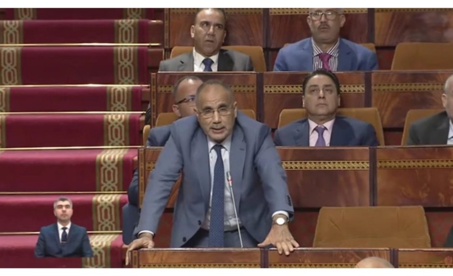 البرلماني ادموسى يثير اشكالات إصلاح المهن القضائية المتعلقة بالعدول والمفوضين القضائيين