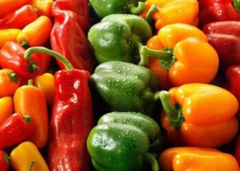 فرنسا تطلق إنذارا غذائيا عاجلا بسبب فلفل مغربي يحتوي على بقايا مبيدات محظورة